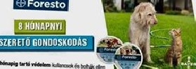 FORESTO NYAKÖRV 8KG ALATTI KUTYA, MACSKA 38CM