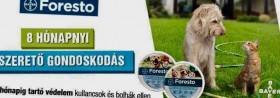 FORESTO NYAKÖRV 8KG FÖLÖTTI KUTYA 70CM