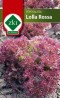 Saláta-tépősaláta- Lolla Rossa 3 g