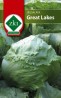 Saláta- jégsaláta-Great Lakes 3g