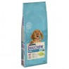 Purina Dog Chow Puppy Bárány+Rizs 14 Kg