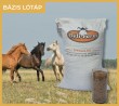 FARMLINE BÁZIS LÓTÁP 40 kg