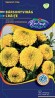 BÁRSONYVIRÁG NAGYVIRÁGÚ ALACSONY, CITROMSÁRGA (TAGETES ERECTA) 1 g