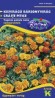 BÁRSONYVIRÁG KISVIRÁGÚ SZINKEVERÉK (TAGETES PATULA NANA) 1g