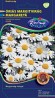 ÓRIÁS MARGITVIRÁG FEHÉR (LEUCANTHEMUM M.) 2 g